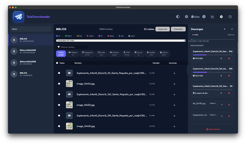 TeleDownloader Interface